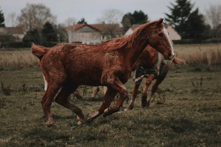 Image of a Shire horse standing tall, showcasing its immense size and strength