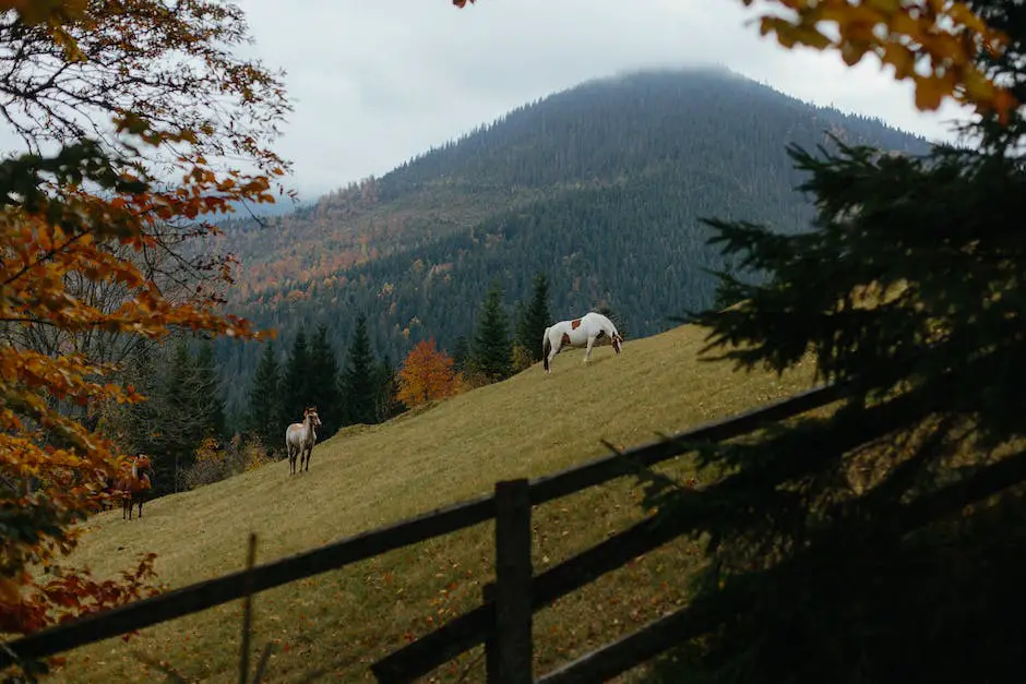 A picturesque Swiss horse grazing in a lush green pasture, embodying the essence of Swiss horse nutrition, emphasizing their healthy and natural dietary requirements.