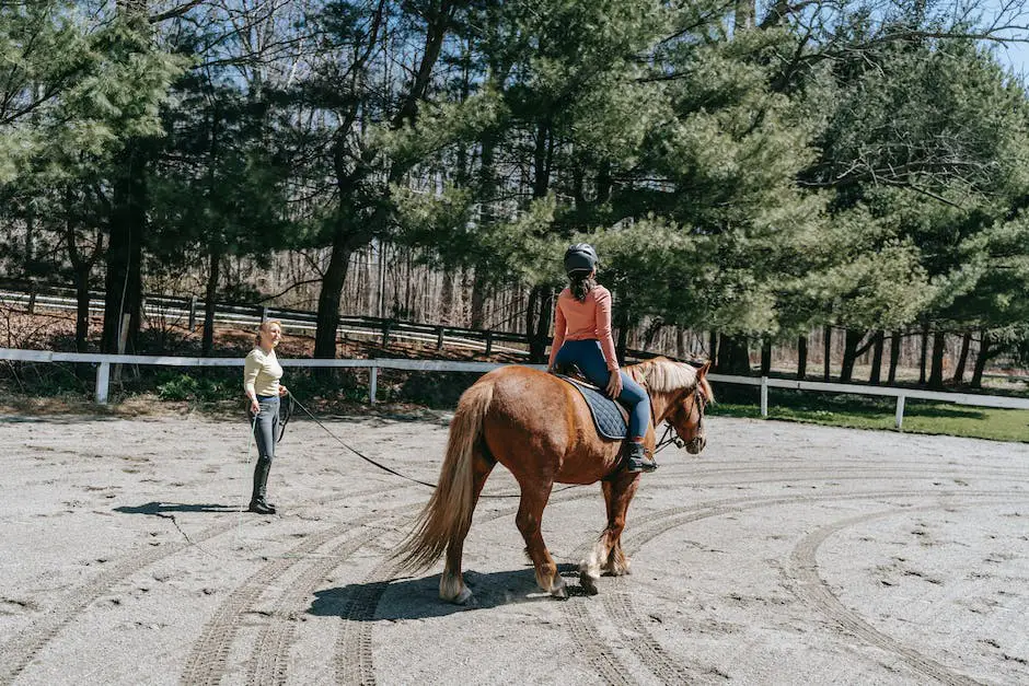 A group of individuals with disabilities enjoying therapeutic horseback riding in the Swiss countryside