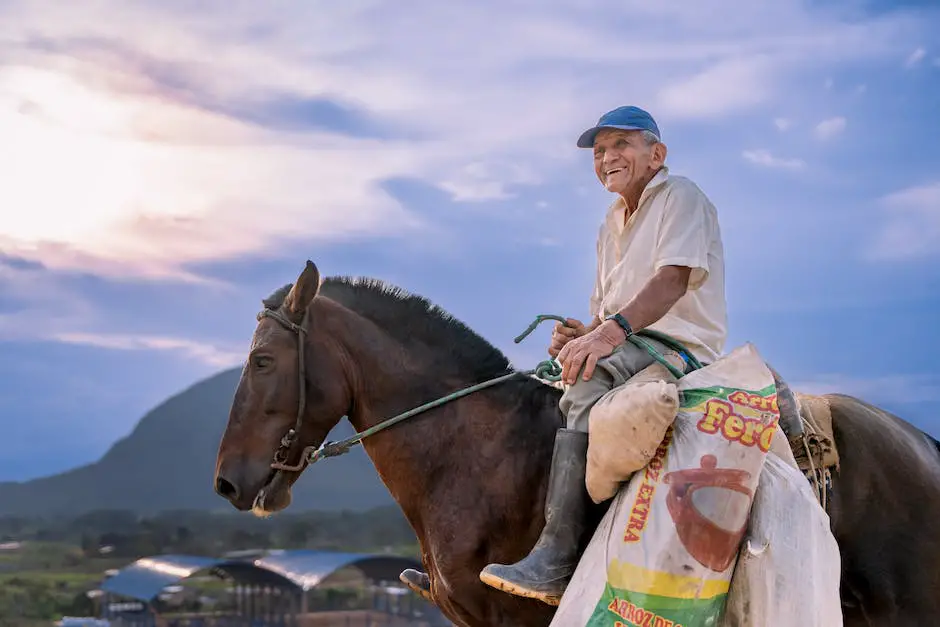 Image description: A person riding a therapy horse, experiencing emotional and psychological benefits.