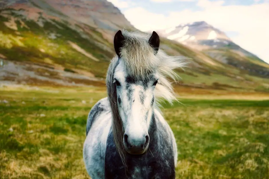 A majestic Trait du Nord horse standing in a field.