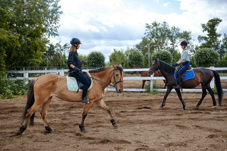 A majestic Warmblood horse performing dressage movements, showcasing elegance and precision.