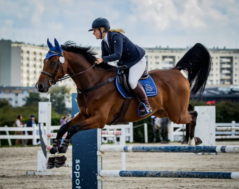 An image of a warmblood horse jumping over a fence with a rider in a show jumping competition