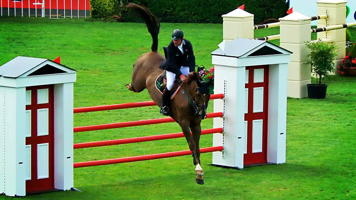 An image of a Warmblood horse gracefully jumping over a fence in a show jumping competition