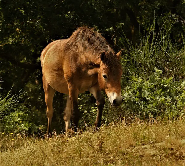 A photo of a Weser Ems Pony trotting in a field